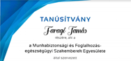 ISO 45001_2018 Auditor Certificate_Tamas Farago